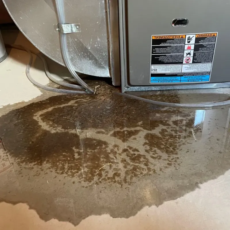 Pipe Burst and Leak Restoration in Tracy City, TN