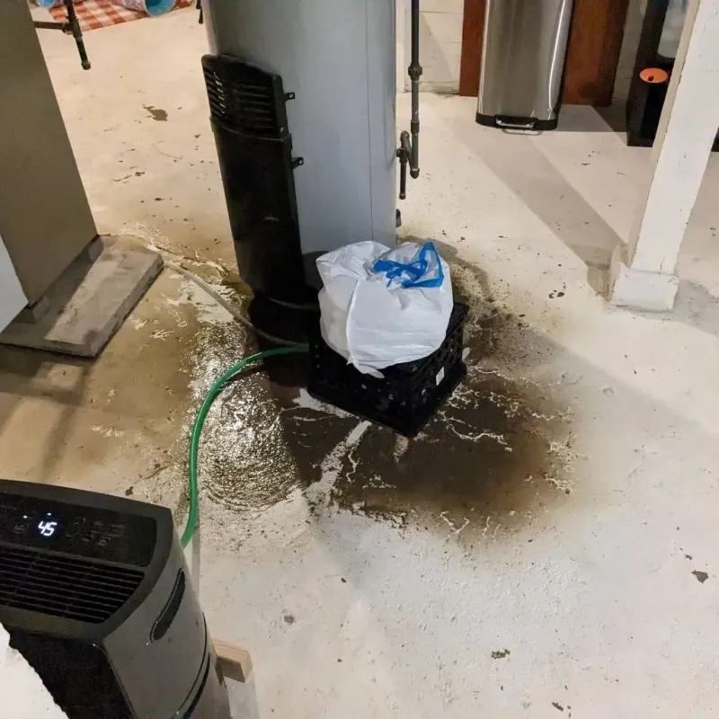 Sewage Backup Cleanup Service in Tracy City, TN